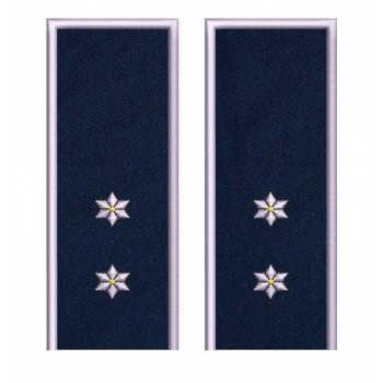 GRADE INSPECTOR POLITIE IGPR